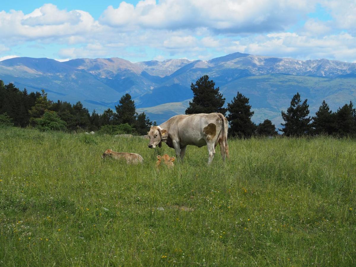 Apartament A La Molina, Grans Vistes, Llar De Foc La Molina  Luaran gambar